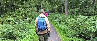 Pilgrimer på väg mot målet