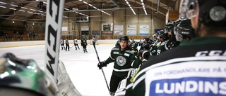 Efter 14 år blir det alltvåanhockey i Hemse: "Om någon ska slå oss hemma ska de vara ruskigt bra"