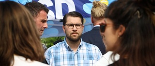 Åkesson: "Själva syftet är att sabotera"