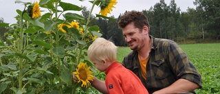 Jonas började odla solrosor på gården efter systerns sjukdom