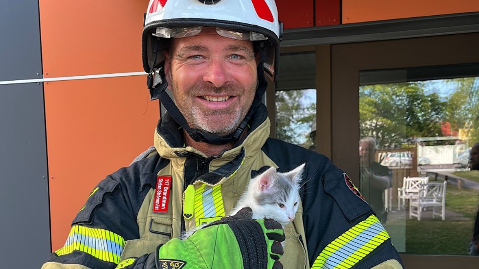 Brandmannen Stefan Strömqvist klättrade upp för stegen och kunde ganska enkelt få loss katten, som kilat sig fast i vädringsfönstret.