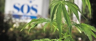 Marijuanan frodades vid SOS Alarm