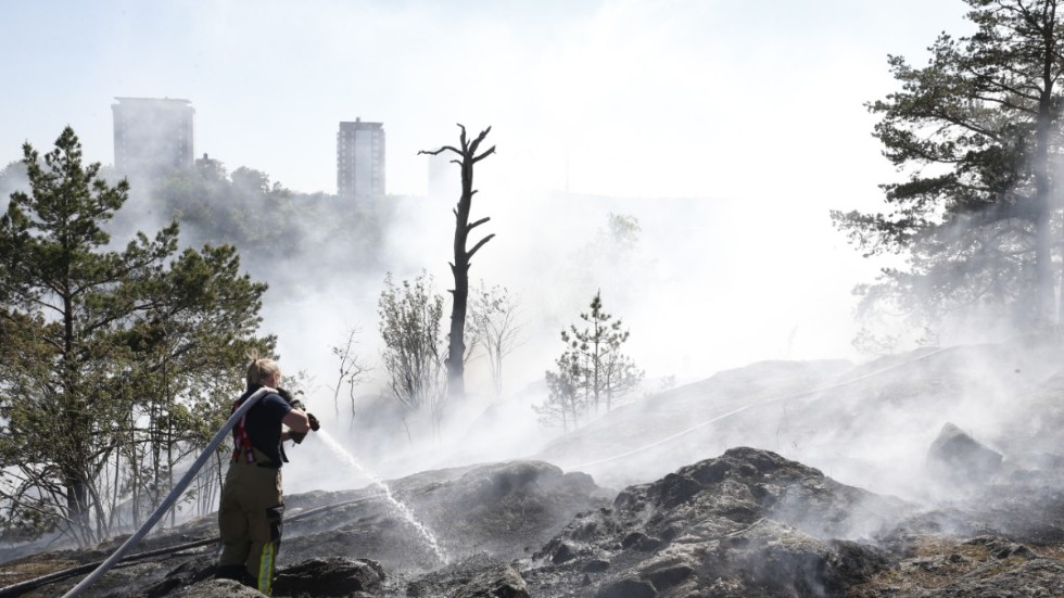 "Isarna smälter snabbare än befarat, extremväder och skogsbränder förekommer i allt större omfattning", skriver insändarskribenten. Arkivfoto