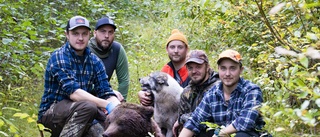 De skulle jaga räv – då fick Johan skjuta en björn: "Otroligt skoj att få vara med om det här"