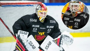 Det här är Luleå Hockey ensamt om i ligan: ”Vi bryr oss inte om vad andra lag gör"
