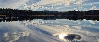 Läsarbilden: Vacker dag vid sjön