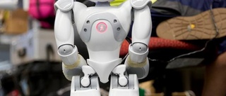 Charlotta Levay: Robotarna kan bli våra vänner