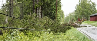 Nya ledningar ska ge färre strömavbrott