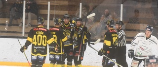 Vimmerby Hockey ångar på i toppen av vårserien • Följ kampen mot Segeltorp hemma genom vår liverapportering