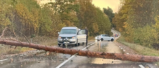 Fallna träd skapade problem i trafiken