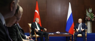 Idel positiva ord mellan Erdogan och Putin