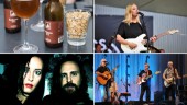 Gotländska artisternas krav för att inta scenen • Öl, nötter, lotter och sällskapsspel – men nej tack till pommes frites