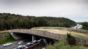 Trafikverket satsar på faunabro • Projektledaren: "Djuren ska inte passera på E4:an"
