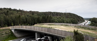Trafikverket satsar på faunabro • Projektledaren: "Djuren ska inte passera på E4:an"
