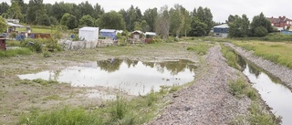 Simulerade regn avslöjar var staden svämmar över