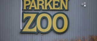 Parken Zoo utsatt för inbrott – igen
