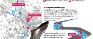 Debatt: Tappade miljöambitioner i Eskilstuna