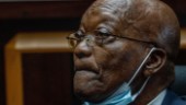 Svidande kritik mot Zuma i korruptionsrapport