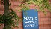 Naturvårdsverkets it-system fortfarande nere