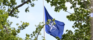 Kinesiska medier: Sverige luras in i Nato