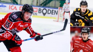 Boden Hockeys tidigare juniorlandslagsman lägger av – 25 år gammal