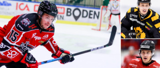 Boden Hockeys tidigare juniorlandslagsman lägger av – 25 år gammal