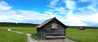 Naturskönt i naturreservatet    