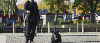 Få fart på din hunds huvud