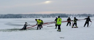 Räddad från en säker död