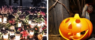 GUIDE: Halloween och alla helgons dag – vi reder ut begreppen