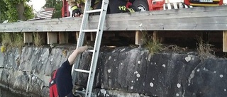 Här räddar brandmännen katten Strumpan ur muren