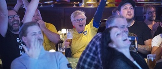 Sverige klart för VM efter heroisk match
