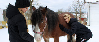 Fia, 34, tar hästar till hjälp – så elever klarar skolan bättre