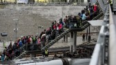 Miljontals vill migrera till Sverige