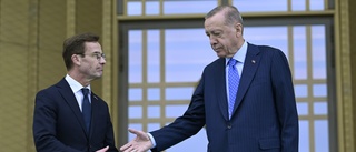Sverige måste hitta fotfästet mot Erdogan nu