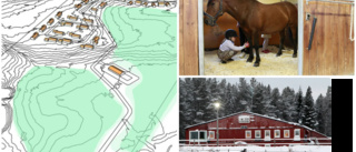 Hästintresserade ska lockas bygga i lilla byn – 29 tomter planeras i nytt bostadsområde utanför Älvsbyn