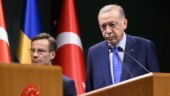 Turkiets Natobeslut kan dröja till oktober