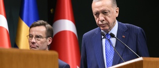 Var iskall och sluta svassa för Erdogan
