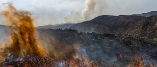 WMO: De senaste åtta åren de varmaste någonsin