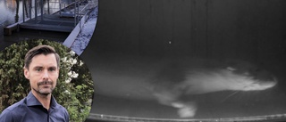 Unik undervattensfilm – utter blev linslus i Trosa kvarns fiskräknare: "För tio år sen såg vi inte en enda"