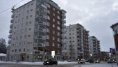 Här är Luleås verkliga guldlägen • LISTAN: De 20 dyraste villorna & bostadsrätterna som såldes under 2022