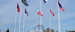 Polcirkelns egna monument