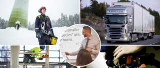 The hottest professions in Norrland's green revolution
