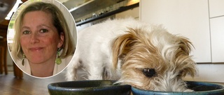 Hundmatsdoktorn: "Även billig mat kan vara bra"