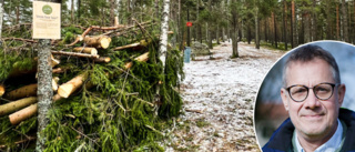 Därför har kommunen byggt en rishög på Åsen