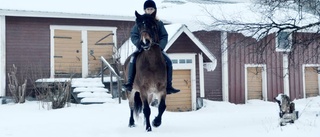 Här älskar hela familjen hästar