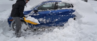 Stormdrabbade Buffalo gör sig redo för mer snö