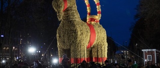 Gävlebocken överlevde december