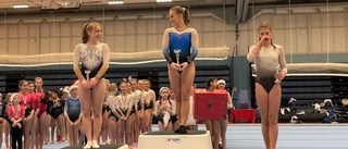 Fina framgångar för den unga gymnasten • Totalseger i HG Julcup • ”Chockad och glad på samma gång”