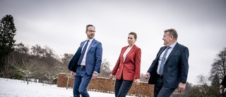 Expert: Spännande se om danska regeringen håller
